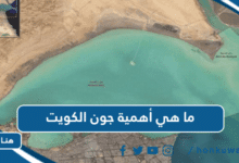 ما هي أهمية جون الكويت